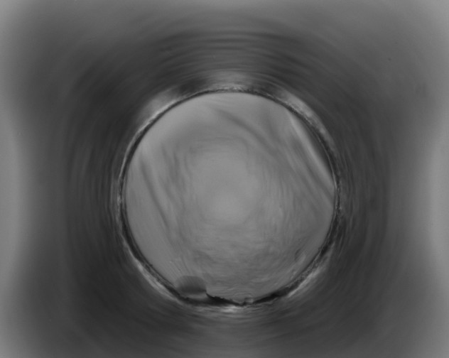 X0000086300802200704201941