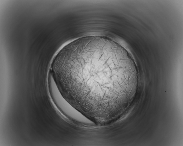 X0000086300803200704201941