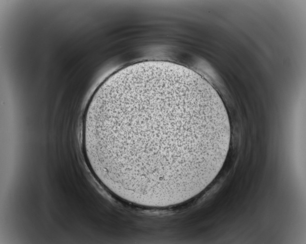 X0000086300804200704201941