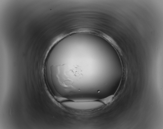 X0000086300805200704201941