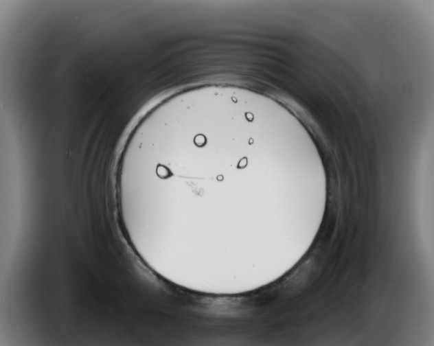 X0000086300808200704201941