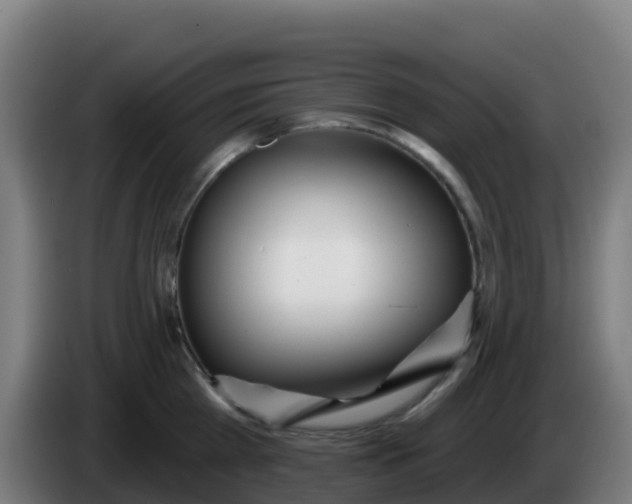 X0000086300809200704201941