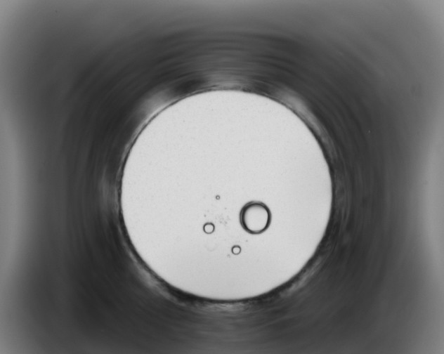 X0000086300810200704201941