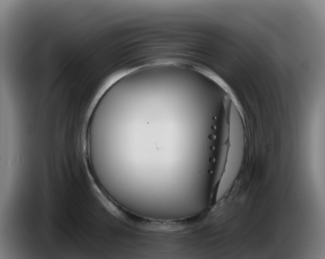 X0000086300811200704201941