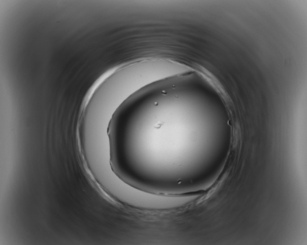 X0000086300812200704201941