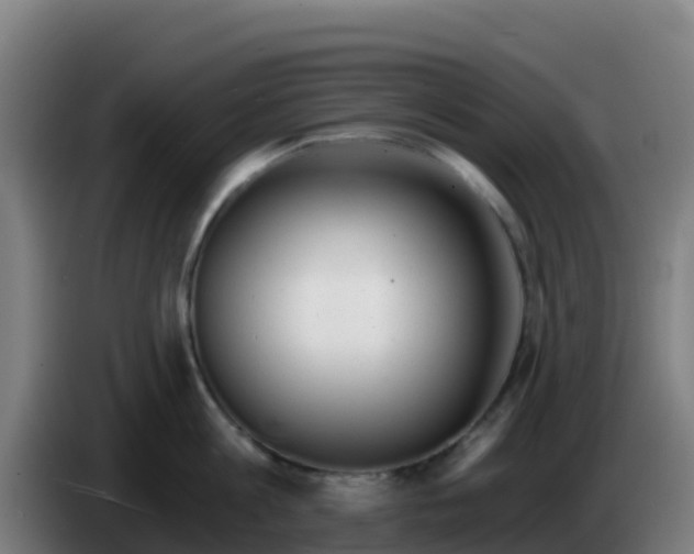 X0000086300813200704201941