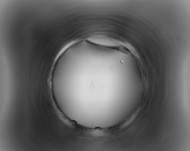 X0000086300814200704201941