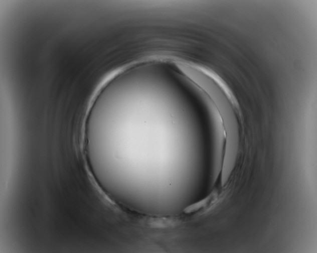 X0000086300815200704201941