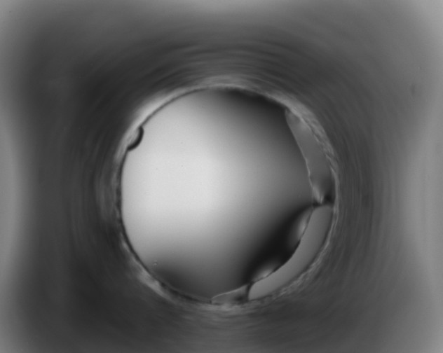 X0000086300816200704201941