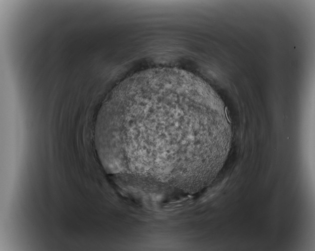 X0000086300817200704201940