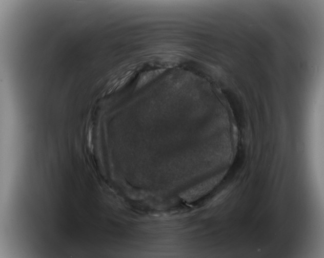 X0000086300818200704201940