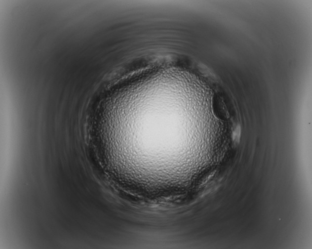 X0000086300819200704201940