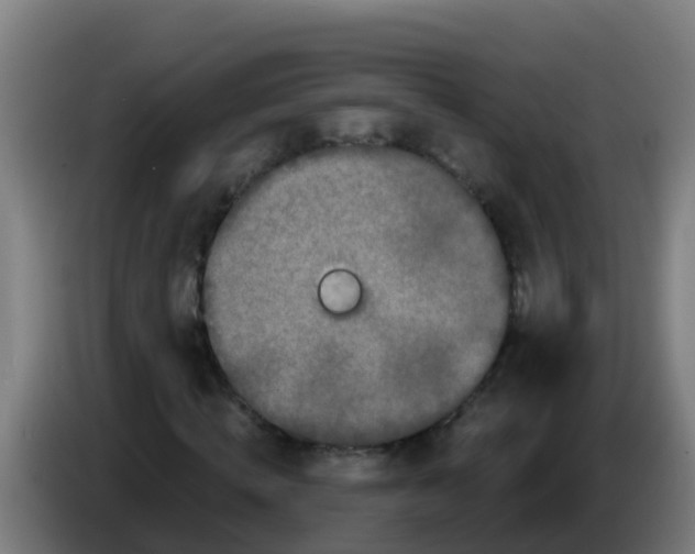 X0000086300820200704201940