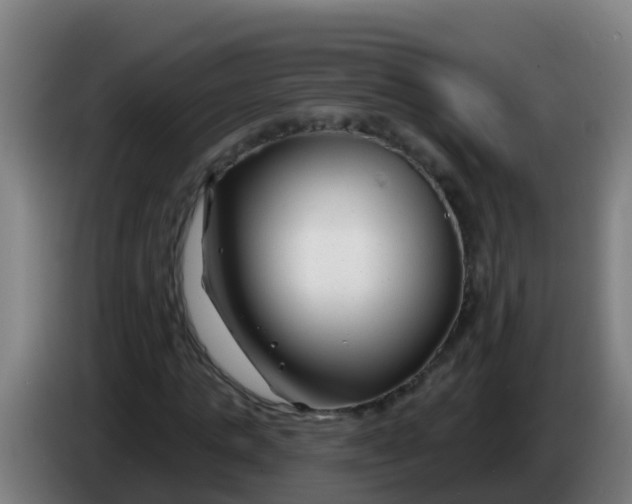 X0000086300821200704201940