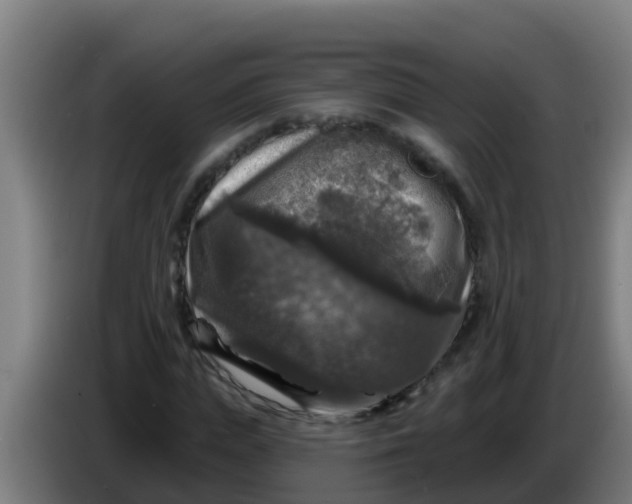 X0000086300823200704201941