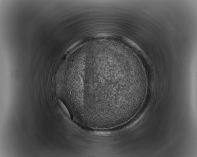 X0000086300825200704201941