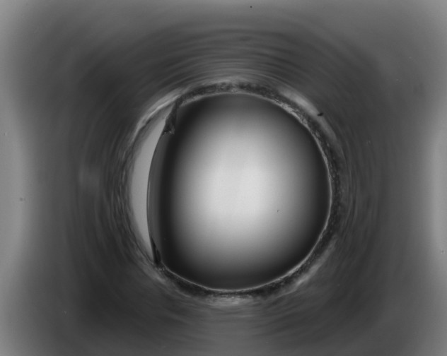 X0000086300826200704201941