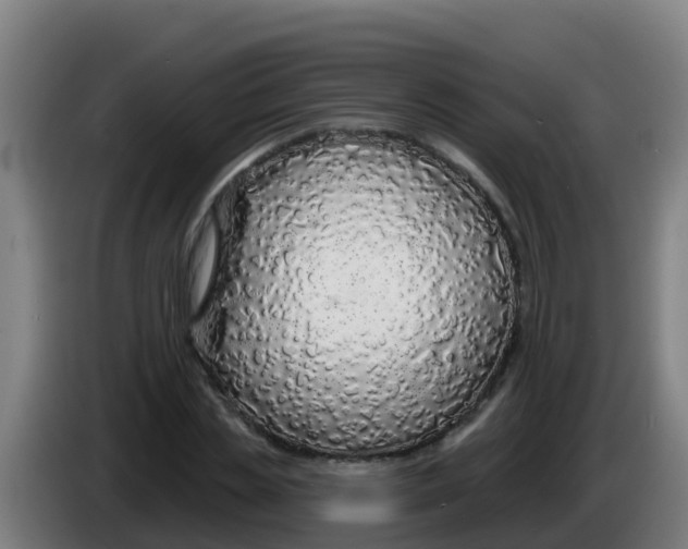 X0000086300829200704201941