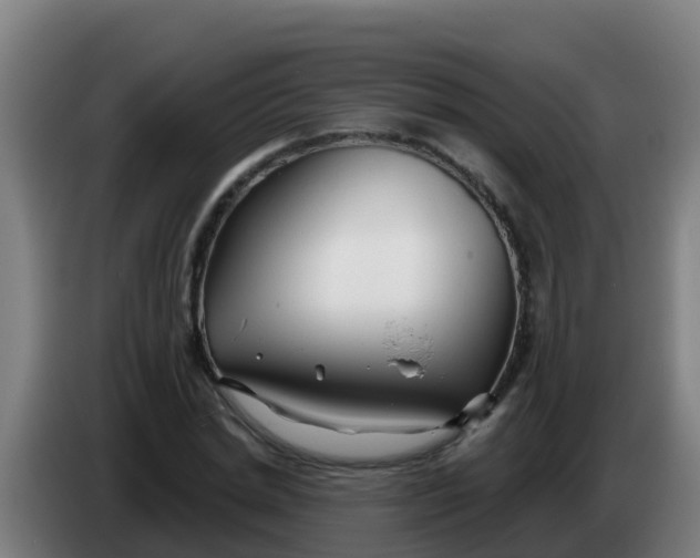 X0000086300830200704201941