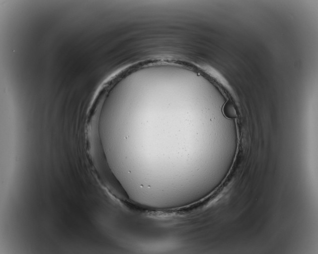 X0000086300831200704201941