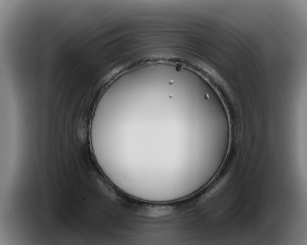 X0000086300833200704201941