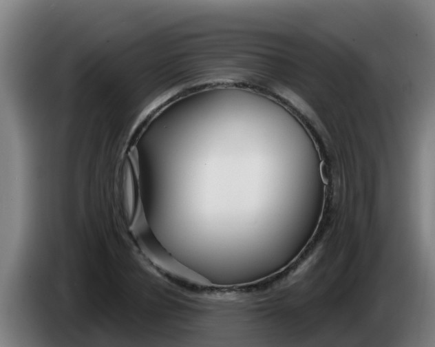 X0000086300834200704201941