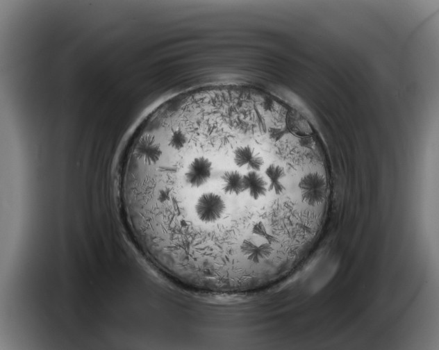 X0000086300835200704201941