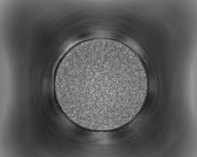 X0000086300836200704201941