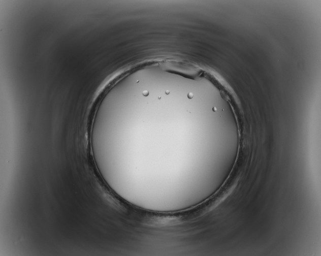 X0000086300837200704201941