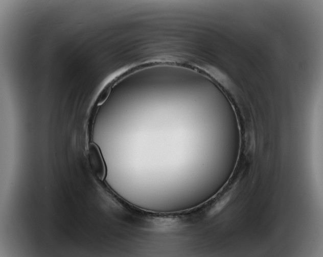 X0000086300838200704201941