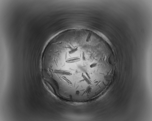 X0000086300839200704201941