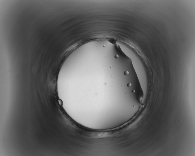 X0000086300841200704201941