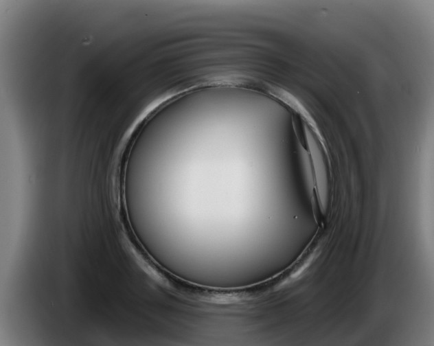 X0000086300843200704201941