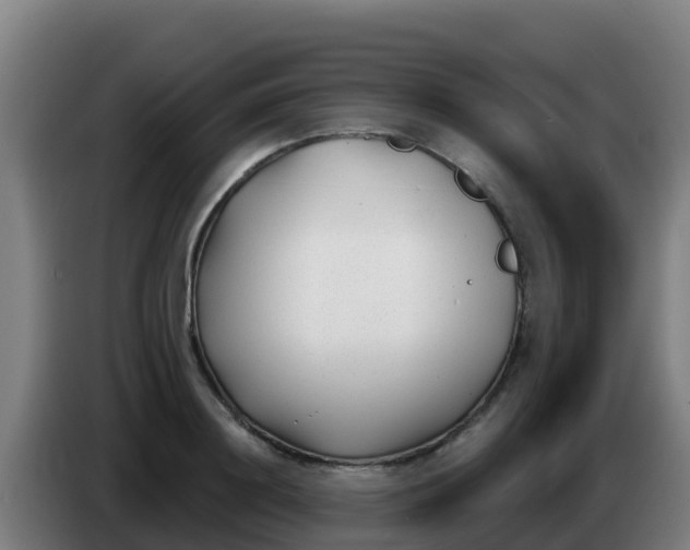 X0000086300844200704201941