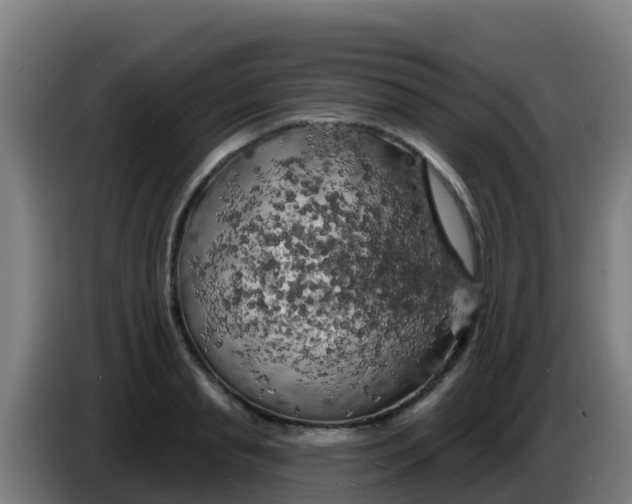 X0000086300845200704201941