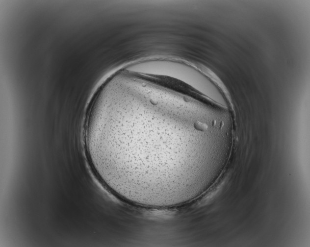 X0000086300847200704201941