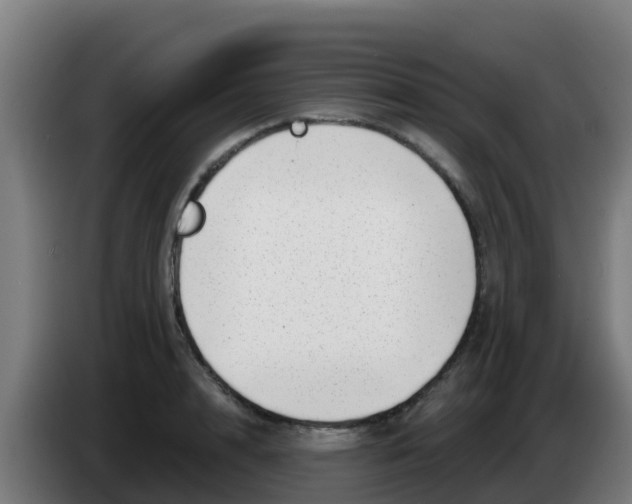 X0000086300848200704201941