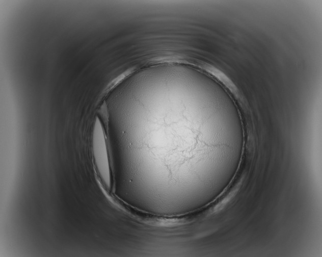 X0000086300849200704201941