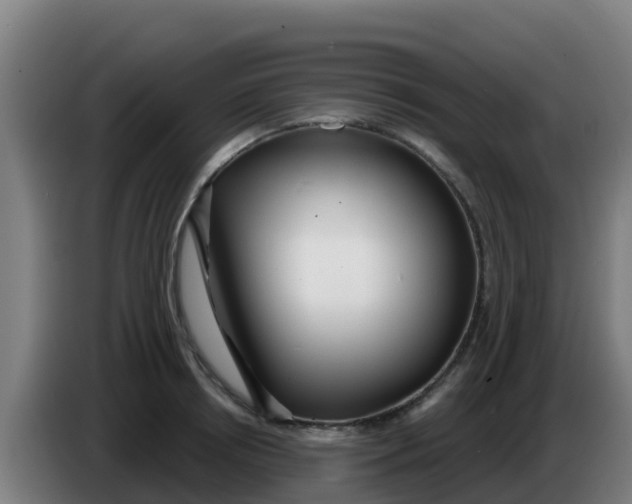 X0000086300850200704201941