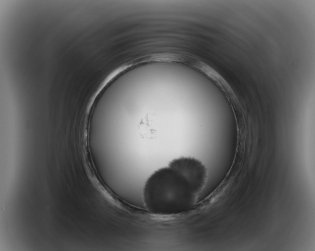 X0000086300852200704201941