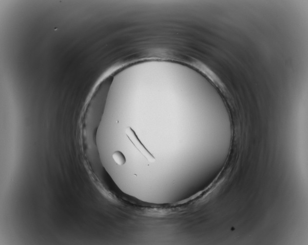 X0000086300854200704201941