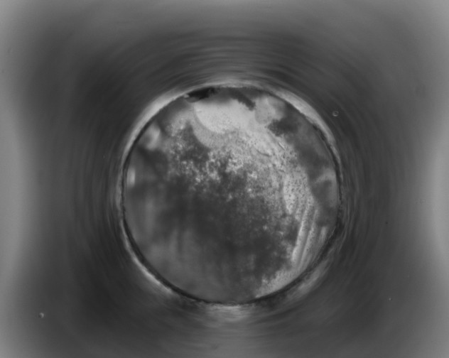 X0000086300855200704201941