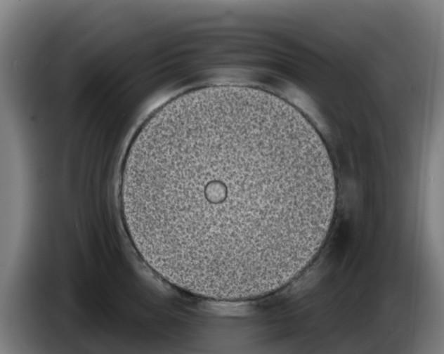 X0000086300856200704201941