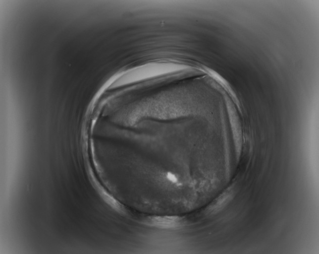 X0000086300859200704201941