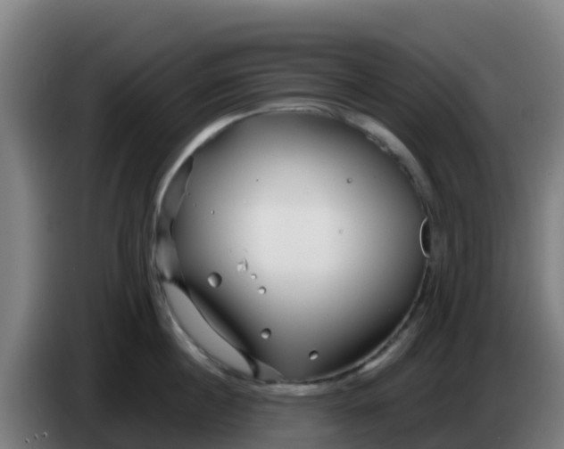 X0000086300860200704201941