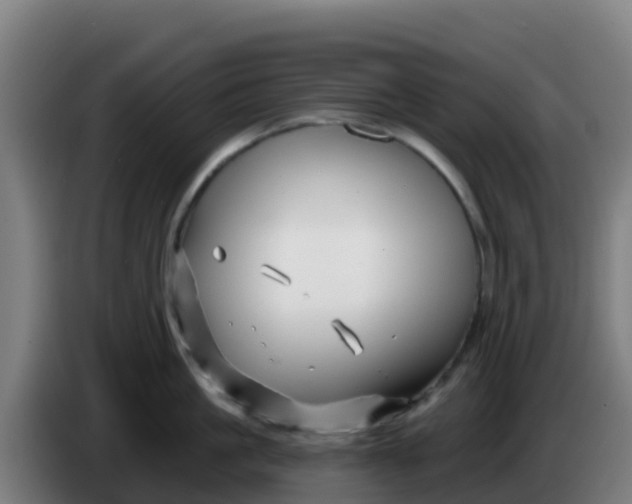 X0000086300861200704201941