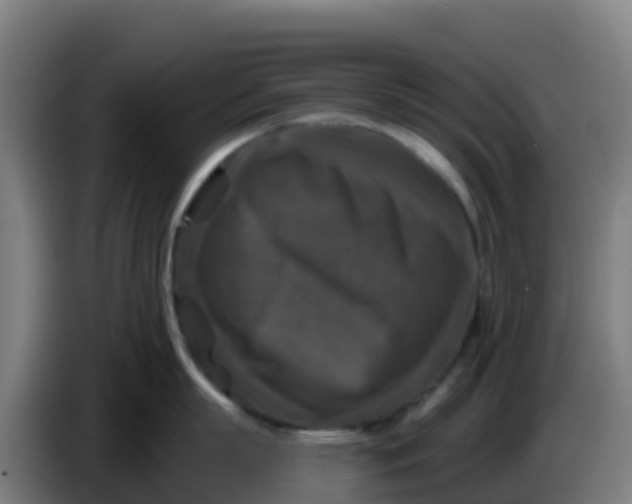 X0000086300863200704201941