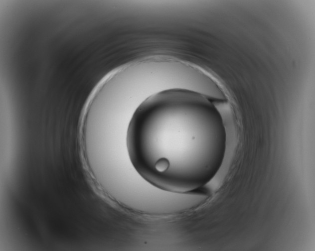 X0000086300864200704201941