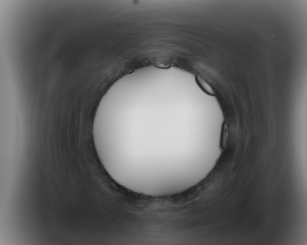 X0000086300865200704201940