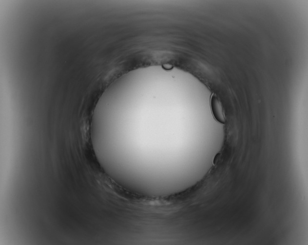 X0000086300866200704201940